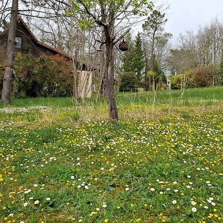 Les Du Castang * Valojoulx