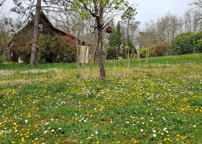 Les Du Castang * Valojoulx